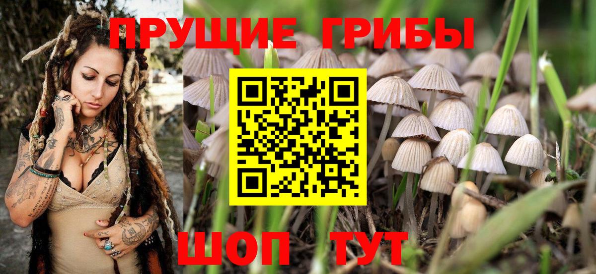 наркота  Вход с VPN  Ульяновск  Псилоцибиновые грибы Cubensis 